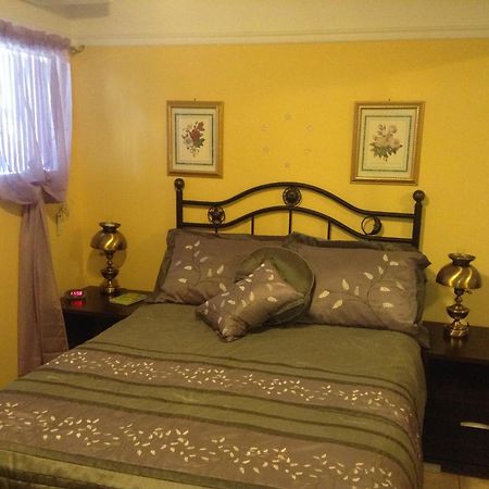 Bed and Breakfast Douces Evasions Saint-Anselme Zewnętrze zdjęcie